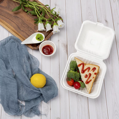 Disposable Paper Pulp Lunch Box Sugarcane Bagasse Biodegradable Take Away Food Containers
