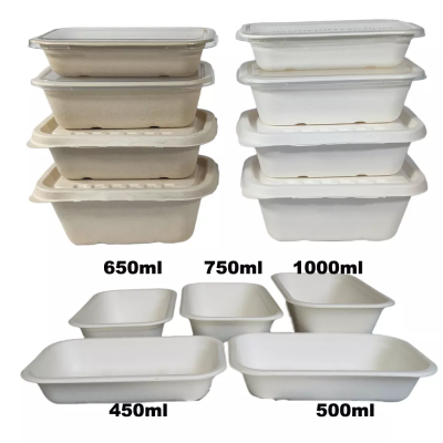 bagasse lunch box production