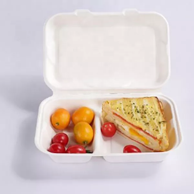 biodegradable bagasse food container turkey