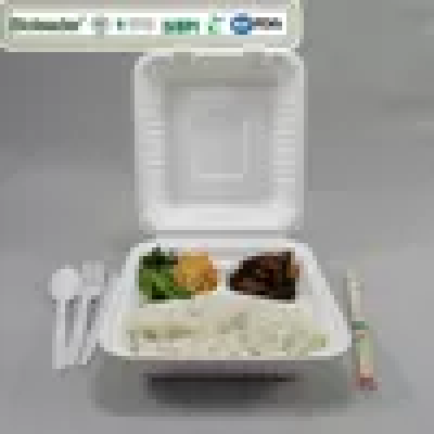 3 Devided Compartment 8x8 8x8 inch Bagasse Food Packing Box - copy