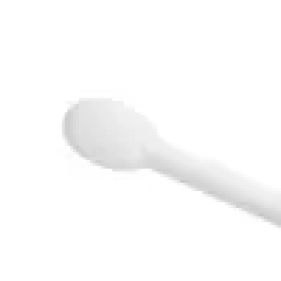  sugarcane spoon