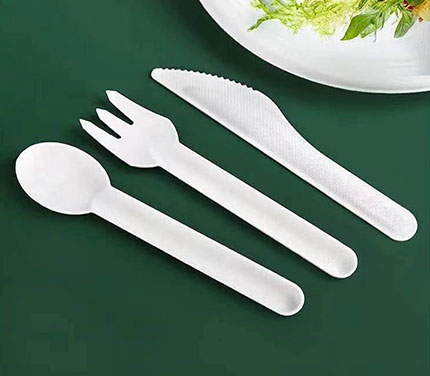  Sugarcane Knife Fork Spoon