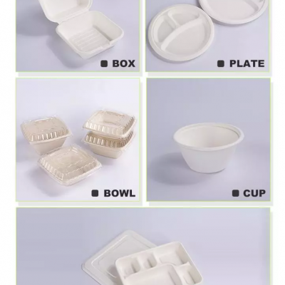 Disposable tableware sugarcane box