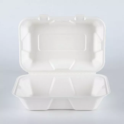 bagass food container producer