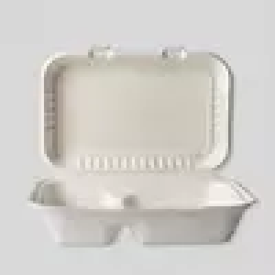 Biodegradable 2 Compartment American Lock Bento Box